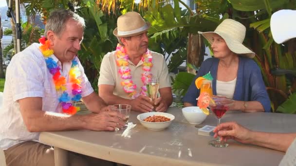 Senior friends taking an aperitif — Stock Video