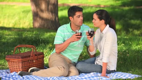 Paar rode wijn drinken op een picknick — Stockvideo