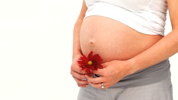 Pregnant woman holding a red flower — Stock Video