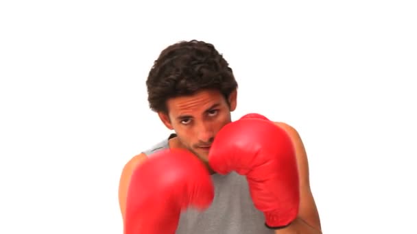 Casual man with red boxing gloves — Stock Video