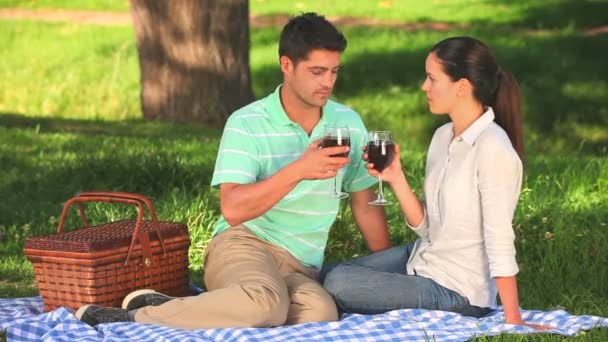 Couple drinking red wine — Stock Video