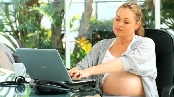 Lovely expecting woman working on her laptop — Stock Video