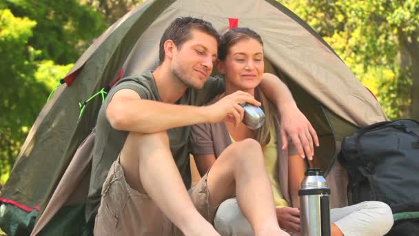 Pareja cariñosa acampando en el campo — Vídeo de stock