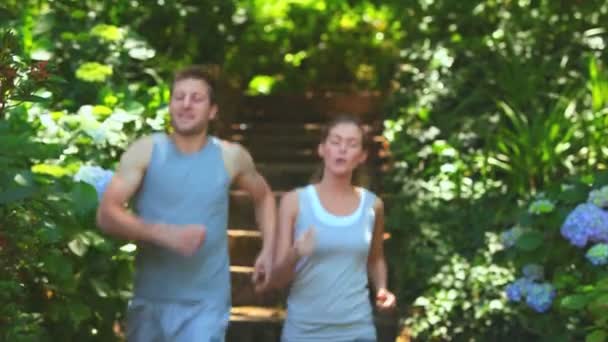 Couple running in a wood — Stock Video