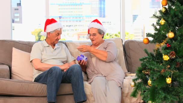 Senior couple on Christmas day — Stock Video