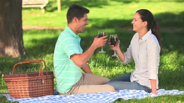 Amantes bebendo vinho tinto ao ar livre — Vídeo de Stock