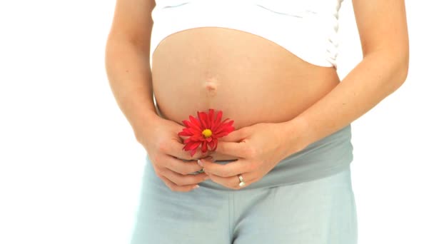 Pregnant woman holding a red flower — Stock Video