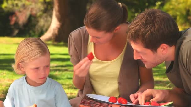 Família feliz fazendo um piquenique — Vídeo de Stock