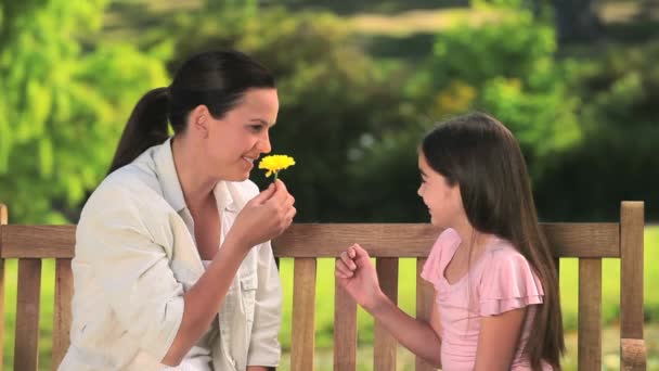 Matka a dcera hraje s květinou — Stock video
