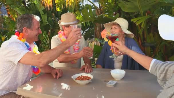 Mature friends taking an aperitif — Stock Video