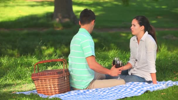 Atractiva pareja bebiendo vino tinto — Vídeos de Stock