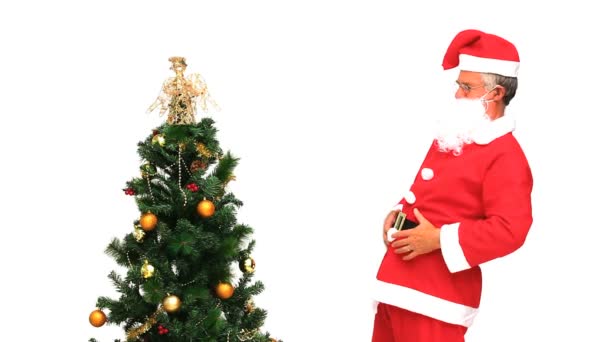 Santa Claus decorating the Christmas tree — Stock Video