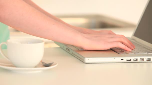 Woman working on her laptop — Stock Video