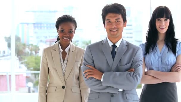 Smiling business crossing their arms — Stock Video