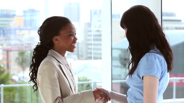 Mulheres de negócios sorridentes apertando as mãos — Vídeo de Stock