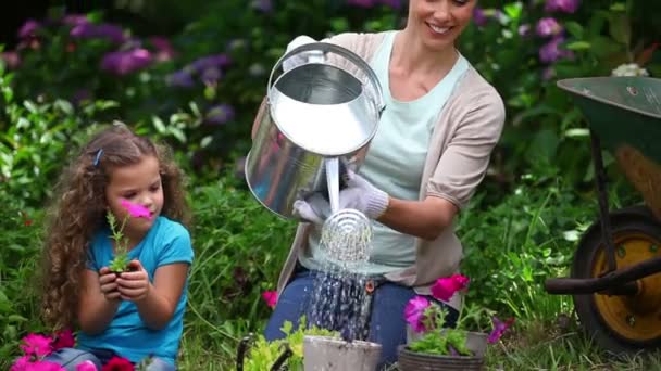 Mutter und Tochter gießen Pflanzen — Stockvideo