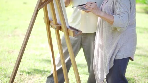 Retired couple painting together — Stock Video