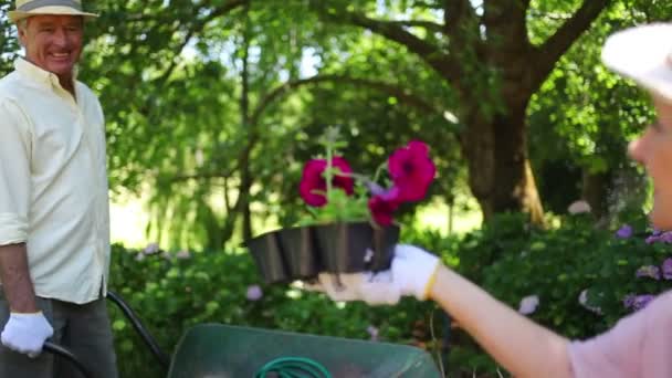 Mulher madura falando com um homem está segurando flores — Vídeo de Stock