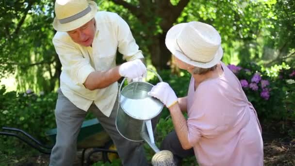 Äldre par vattning tillsammans — Stockvideo