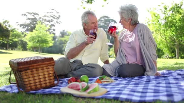 Pareja madura bebiendo vinos durante un picnic — Vídeos de Stock