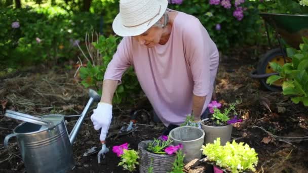 Gepensioneerde vrouw planten van bloemen — Stockvideo