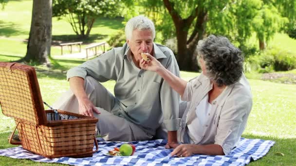 Happy mature eating a picnic — Stock Video