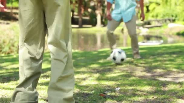 Juego de fútbol siendo jugado por dos miembros de una familia — Vídeo de stock