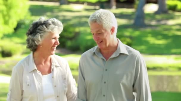 Smiling mature couple walking in front of a lake — Stock Video