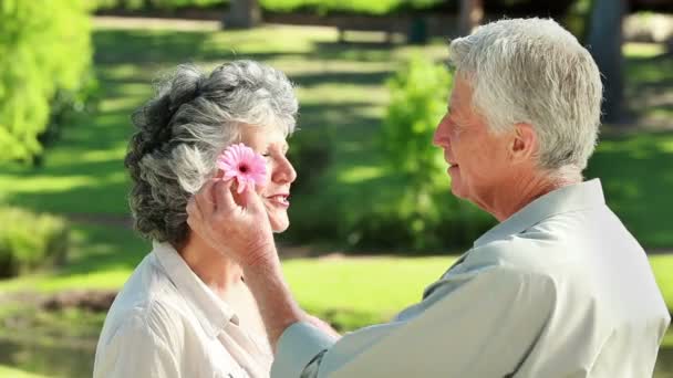 Smiling mature man giving a flower to his wife — Stock Video