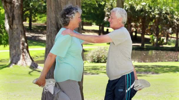 Smiling retired couple doing stretching exercises — Stock Video