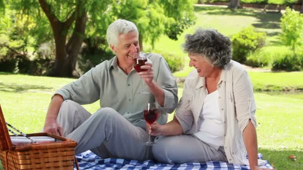 Зрелая пара, звонящая бокалами красного вина — стоковое видео