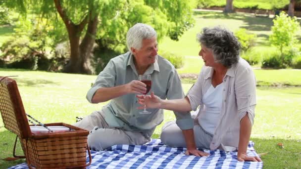 Oudere zittend op een deken met glazen rode wijn — Stockvideo