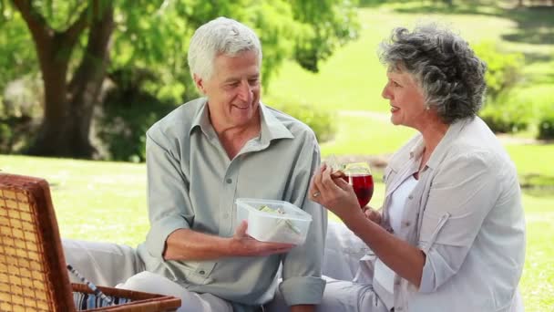 Glad äldre par äta picknick — Stockvideo