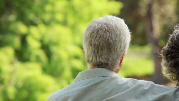 Achteraanzicht van een volwassen man zijn vrouw omarmen — Stockvideo