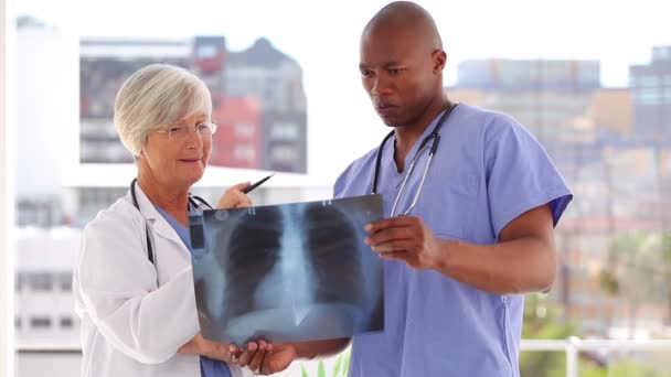 Medici sorridenti che esaminano una radiografia del torace — Video Stock