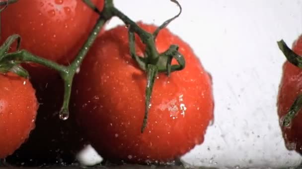Tomatoes in super slow motion watering by droplets — Stock Video
