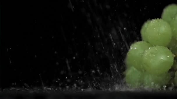 비에 의해 급수 하는 슈퍼 슬로우 모션에 건포도 포도 — 비디오