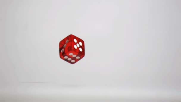 One red dice in a super slow motion rebounding and turning — Stock Video