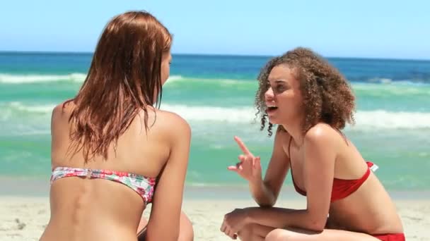Две девушки разговаривают друг с другом — стоковое видео