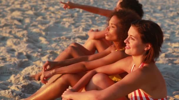 Quatro amigos se sentam na praia — Vídeo de Stock