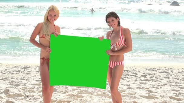 Två kvinnor innehar en grön skärm — Stockvideo