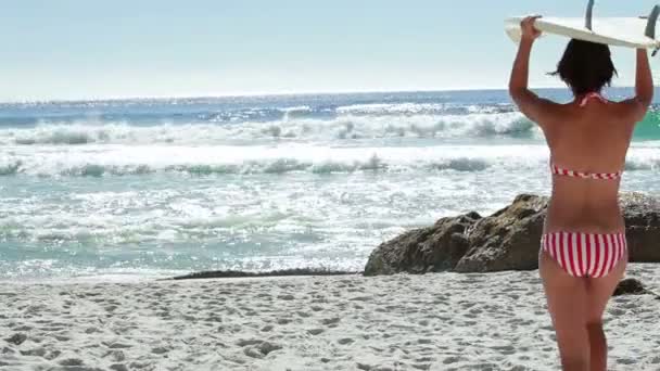 Female surfer carrying her board down to the water — Stock Video