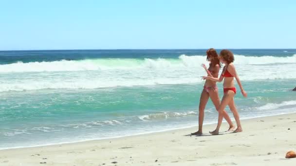 Dos mujeres caminando mientras hablan juntas — Vídeo de stock