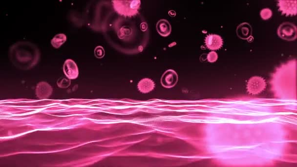 Virus rosa que fluye a través del torrente sanguíneo — Vídeo de stock