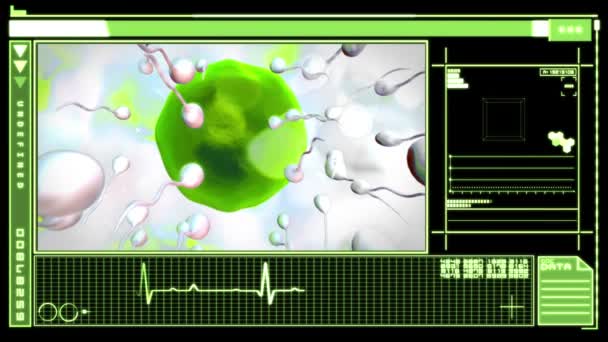 Medical digital interface showing egg cell fertilization — Stock Video