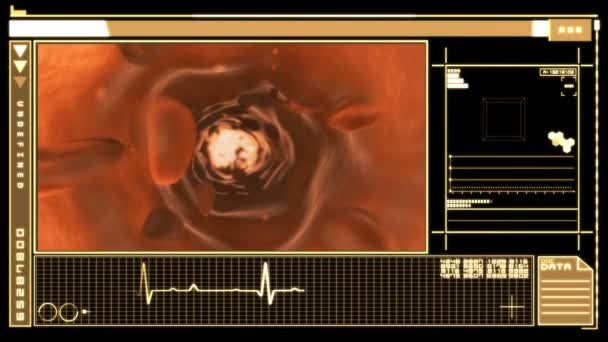 Digital interface displaying bloodflow through vein — Stock Video