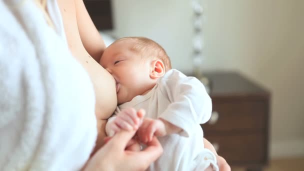 Bebé siendo amamantado por su madre — Vídeo de stock