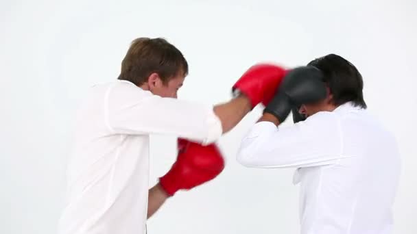 Business boxing — Stock Video