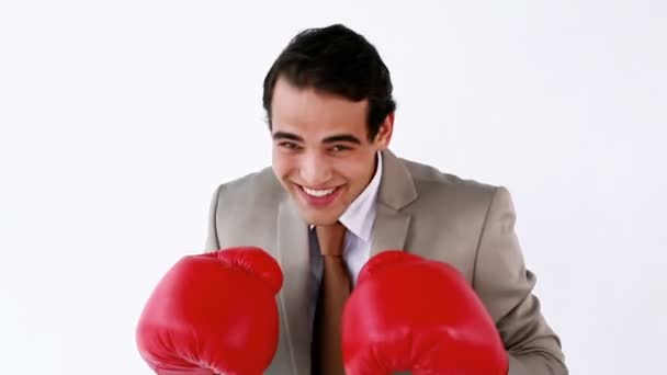 Executivo sorrindo usando luvas de boxe — Vídeo de Stock