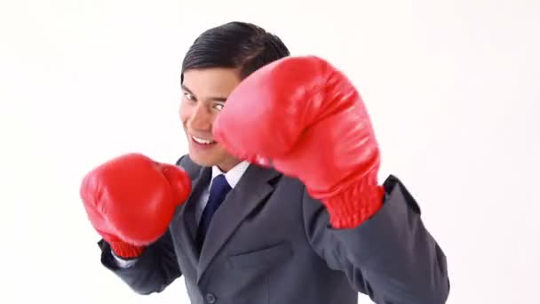 Happy executive using boxing gloves — Stock Video